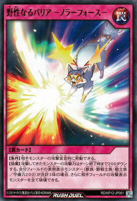 ͷåǥ奨 RDKP12-JP061 ʤХꥢ −Υ顼ե−