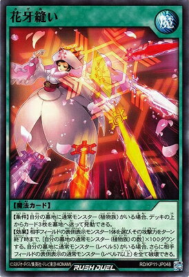 ͷåǥ奨 RDKP11-JP048 ֲ˥