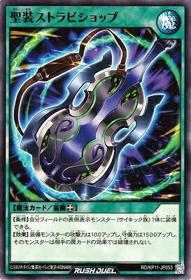 ͷåǥ奨 RDKP11-JP053 ȥӥå