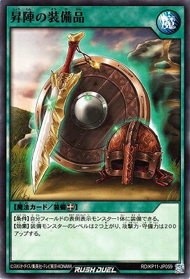 ͷåǥ奨 RDKP11-JP059 ؤ