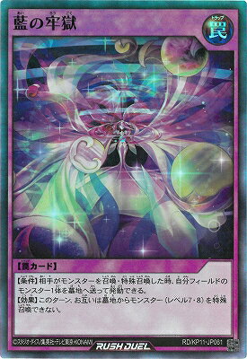 ͷåǥ奨 RDKP11-JP061 ϴڥѡ쥢