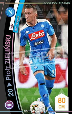 WCCF FOOTISTA 【F20-9 019】ピオトル・ジエリンスキ ★3 CC