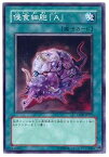 遊戯王 第5期 2弾 CDIP-JP037　侵食細胞「A」