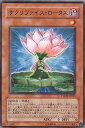 遊戯王/第5期/7弾/PTDN-JP004 サクリファイス・ロータス 遊戯王/第5期/7弾/PTDN-JP004 サクリファイス・ロータス