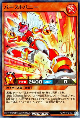 ͷåǥ奨 RD/KP18-JP037 СȥХˡڥѡ쥢