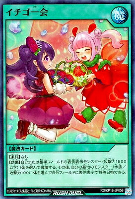 ͷåǥ奨 RD/KP18-JP058 ڥѡ쥢