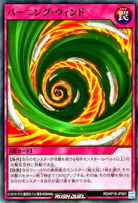 ͷåǥ奨 RD/KP18-JP061 С˥󥰡