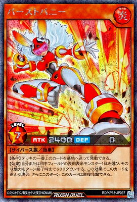 ͷåǥ奨 RD/KP18-JP037 СȥХˡڥåȥ쥢