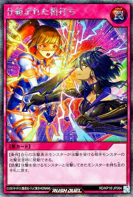 ͷåǥ奨 RD/KP18-JP064 Ȥޤ줿Ǥڥåȥ쥢