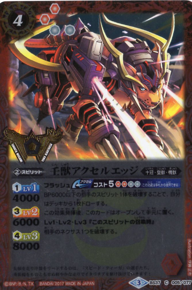 �Хȥ륹�ԥ�åġڥץ�Х�����BS37-005 �ѽå������륨�å� C��2017��