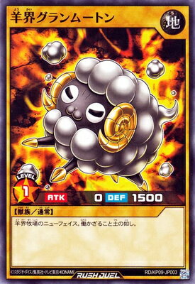 ͷåǥ奨 RDKP09-JP003 ӳࡼȥ