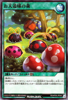ͷåǥ奨 RDKP09-JP049 ŷƻͤο
