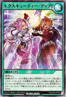 ͷåǥ奨 RDKP09-JP052 塼ƥåסڥѡ쥢