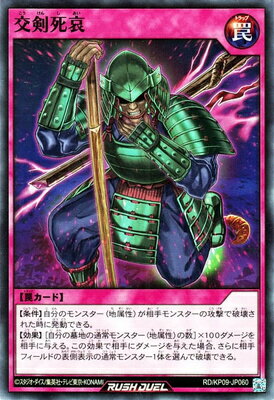 ͷåǥ奨 RDKP09-JP060 థ