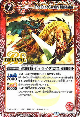 Хȥ륹ԥå BS43-RV005 εǥ饤