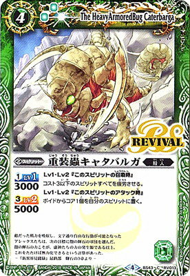 Хȥ륹ԥå BS43-RV013 굥㥿Х륬