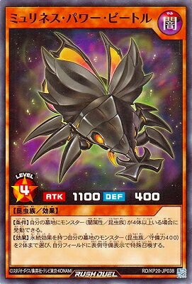 ͷåǥ奨 RD/KP20-JP038 ߥͥѥӡȥ