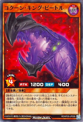 ͷåǥ奨 RD/KP20-JP039 󡦥󥰡ӡȥ