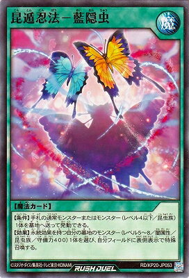 ͷåǥ奨 RD/KP20-JP053 Ǧˡ−