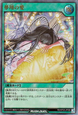 ͷåǥ奨 RD/KP20-JP058 ̴Ƥΰڥȥ쥢