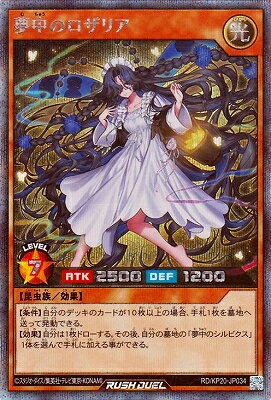 ͷåǥ奨 RD/KP20-JP034 ̴Υꥢڥåȥ쥢