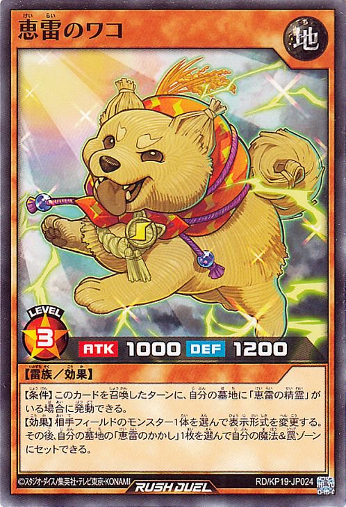 ͷåǥ奨 RD/KP19-JP024 Υ拾