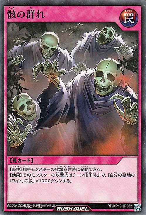 ͷåǥ奨 RD/KP19-JP062 η