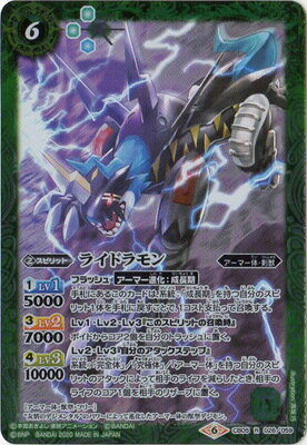 Хȥ륹ԥå CB11CB05-026 饤ɥ R2020