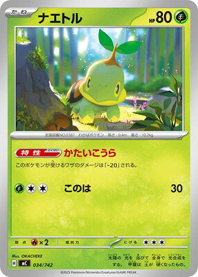 楽天市場】ポケモンカード ナエトルの通販