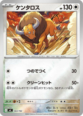 ポケモンカードゲーム PK-MC-563 ケンタロス(キラ)