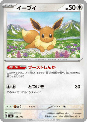 ポケモンカードゲーム PK-MC-565 イーブイ