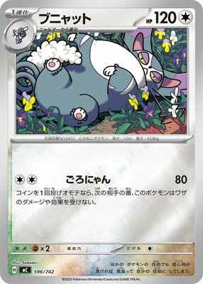 �ݥ���󥫡��ɥ����� PK-MC-596 �֥˥�å�(����)