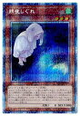 遊戯王 第11期 PAC1-JP035 朔夜しぐれ