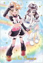 プリキュアカードウエハース5 No.23 ふたりはプリキュア SSR (2599444)