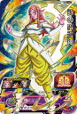 スーパードラゴンボールヒーローズ PBBS13-04 時の界王神