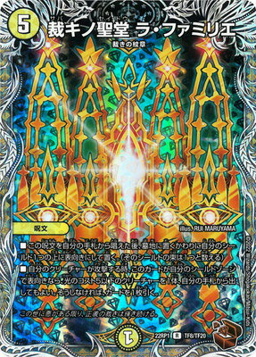 ǥ奨ޥ DM22-RP1 TF8 R ۥƲ 顦եߥꥨƼȥ쥸㡼