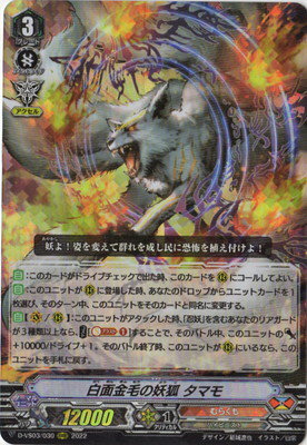 カードファイト!! ヴァンガード D-VS03/030　白面金毛の妖狐 タマモ　RRR