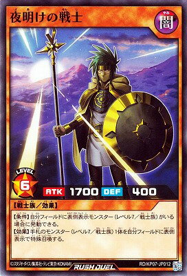 ͷåǥ奨 RDKP07-JP012 