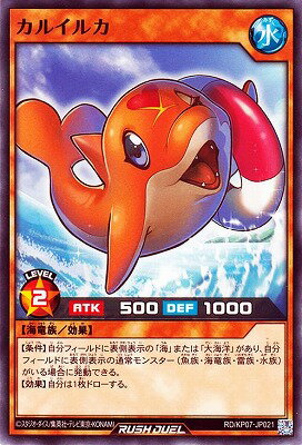 ͷåǥ奨 RDKP07-JP021 륤륫