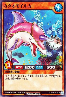 ͷåǥ奨 RDKP07-JP023 ⥤륫