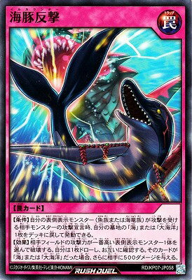 ͷåǥ奨 RDKP07-JP058 ȿ