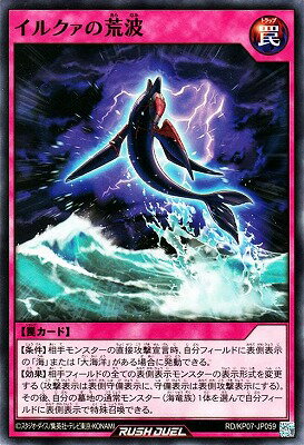 ͷåǥ奨 RDKP07-JP059 륯ι