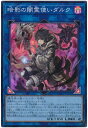 遊戯王 第11期 07弾 BACH-JP049 暗影の闇霊使いダルク【スーパーレア】