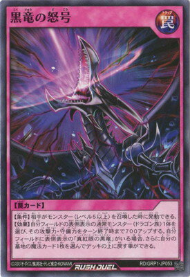 ͷ������å���ǥ奨�� RD��GRP1-JP053 ��ε���ܹ�