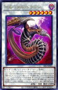 遊戯王 第11期 08弾 DIFO-JP041 イモータル ドラゴン R