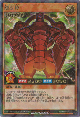 ͷåǥ奨 RDKP08-JP000  ڥå쥢