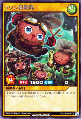 ͷåǥ奨 RDKP08-JP009  R