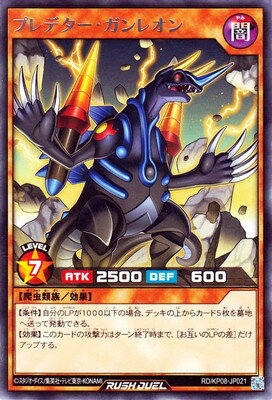 ͷåǥ奨 RDKP08-JP021 ץǥ쥪 R