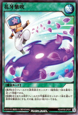 ͷåǥ奨 RDKP08-JP047 ֲ