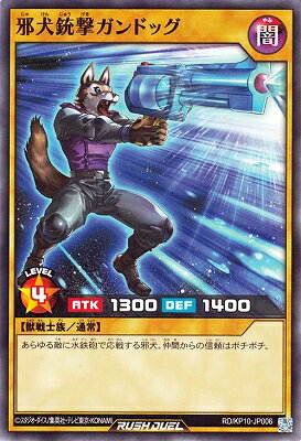 ͷåǥ奨 RDKP10-JP006 ٸƷ⥬ɥå
